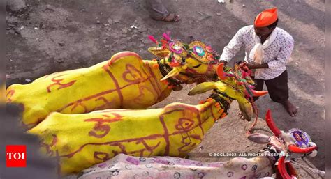 tanha pola images|Bendur/Bail Pola: Date, Significance, Gratitude To  .